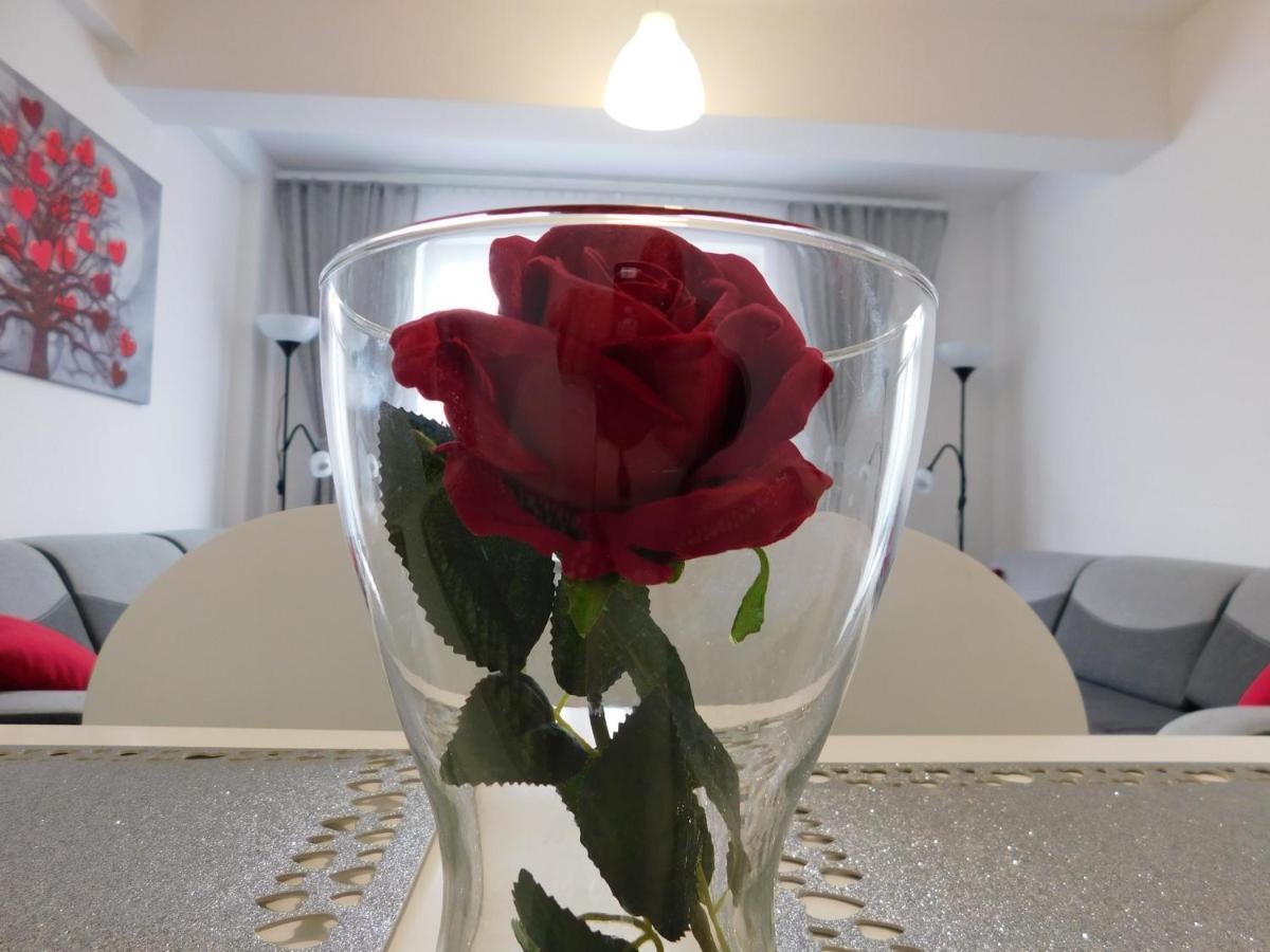Apartamenty Niko Zator Ngoại thất bức ảnh